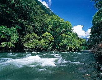 虚幻5 RTS《蚂蚁帝国》正式宣传片和截图